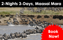 Maasai Mara