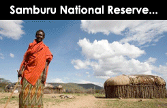 Samburu Tour